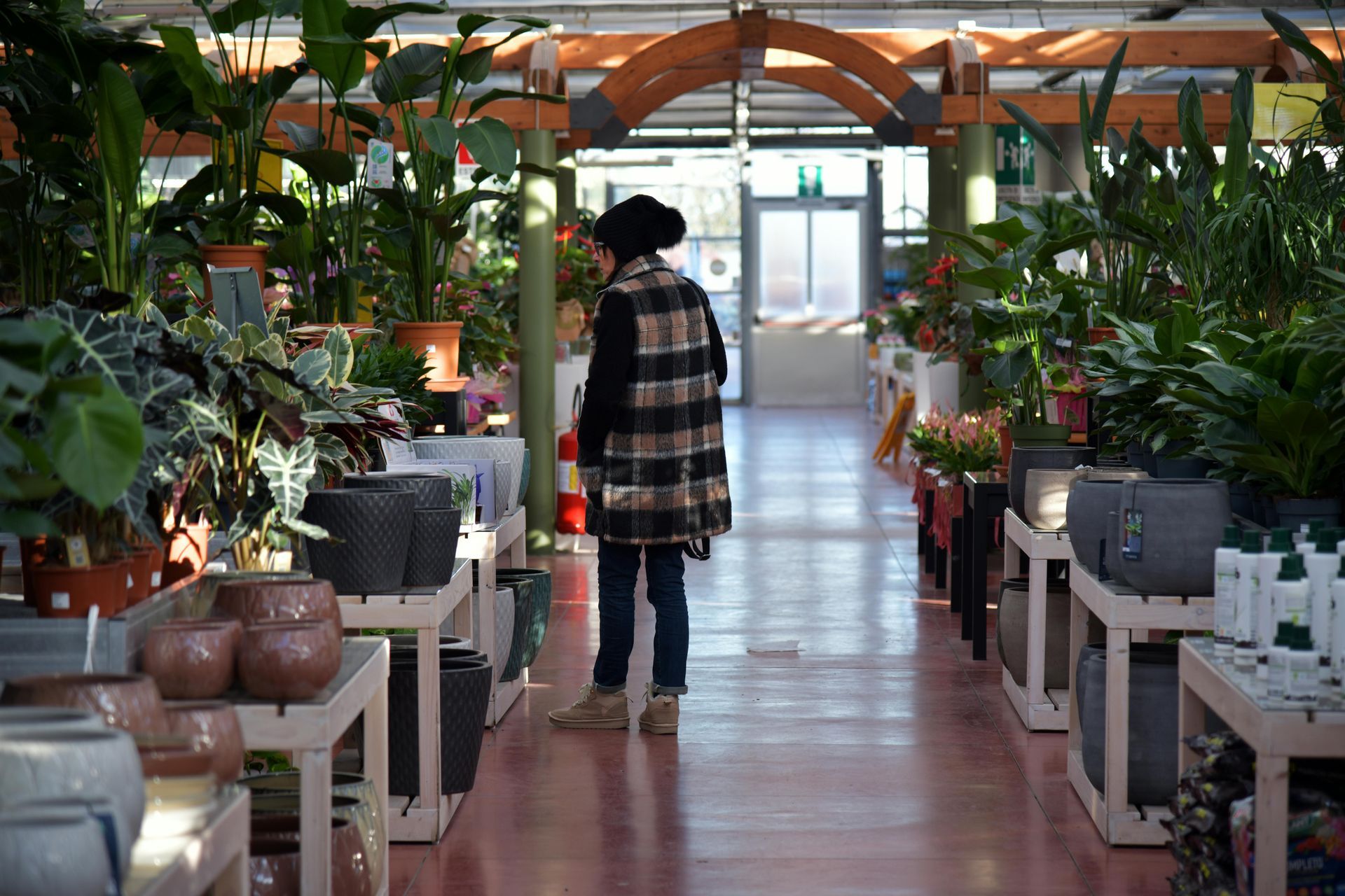 Person standing in a plant-filled greenhouse aisle with potted plants on both sides