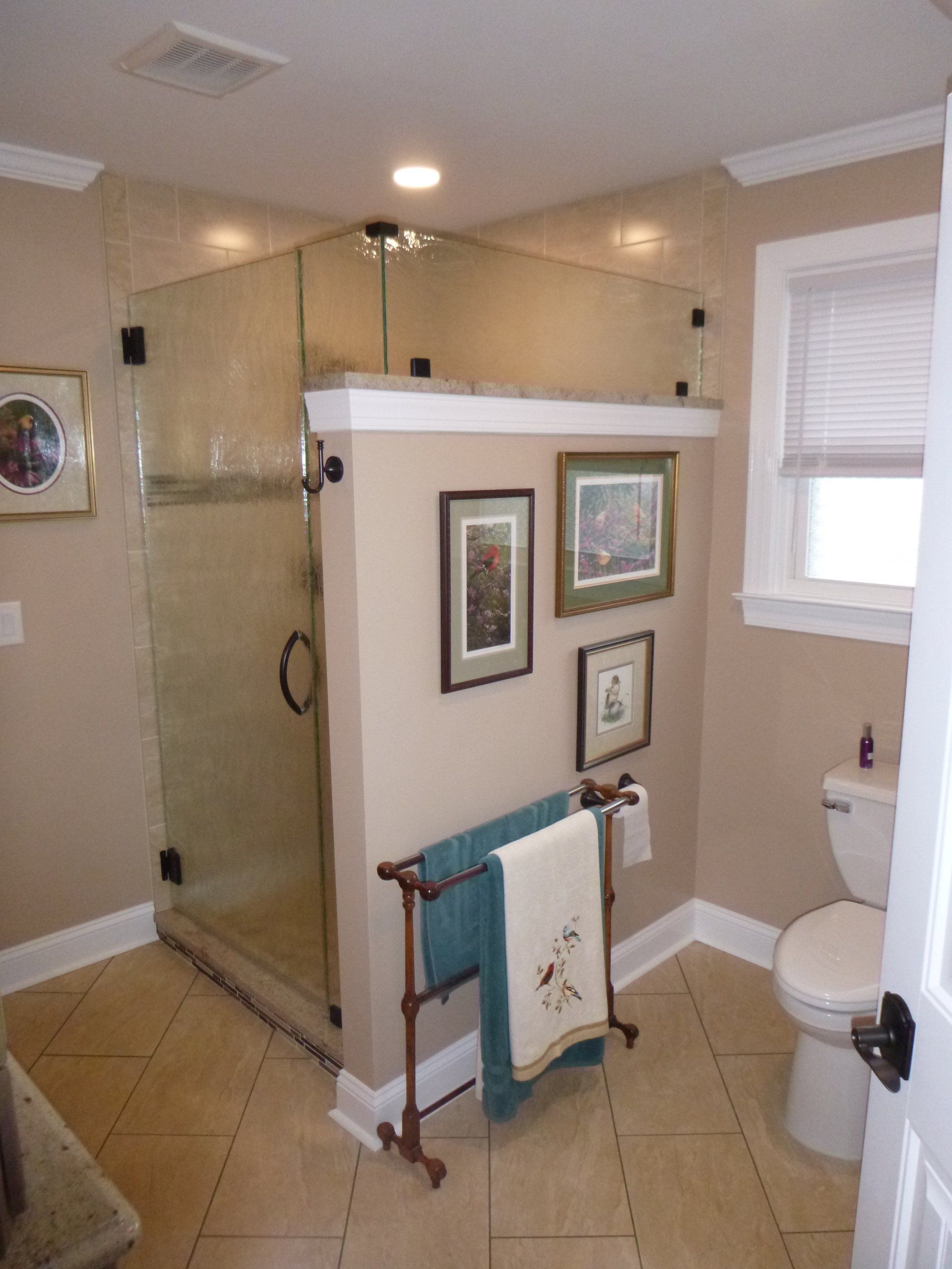 A bathroom with a toilet and a walk in shower