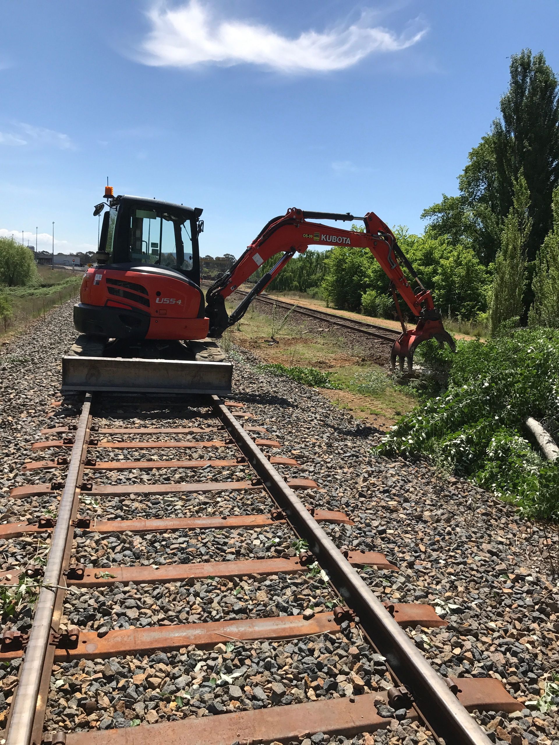 Removing Trees on Railroad — Orange, NSW — Livingstone Tree Service
