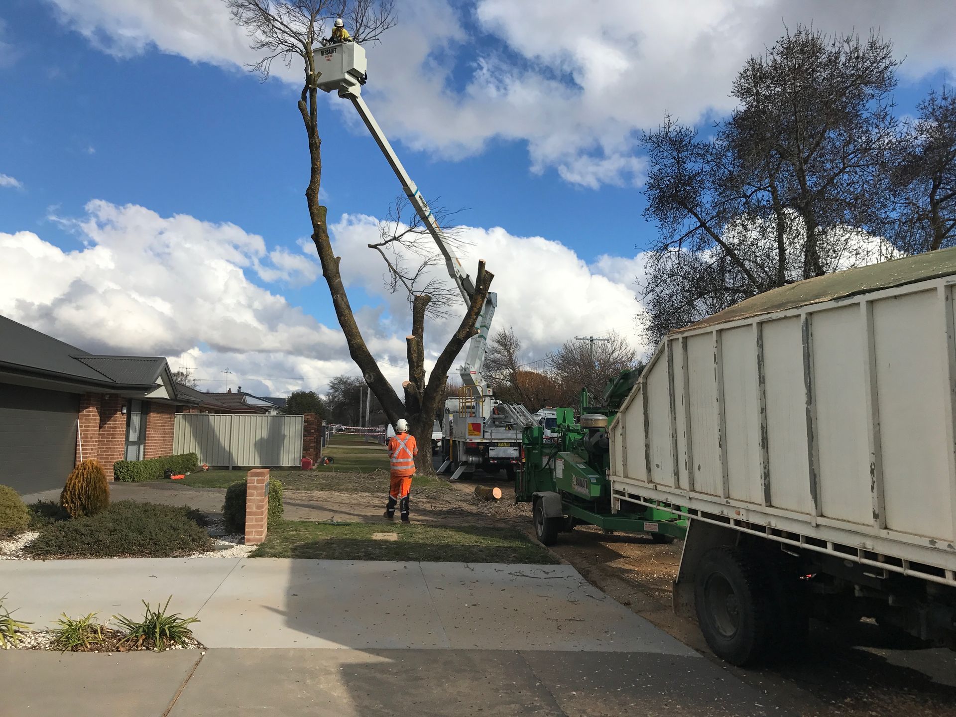 Cutting Trees on Residential Area — Orange, NSW — Livingstone Tree Service
