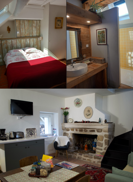 Une chambre une salle de bain un salon et une cheminée