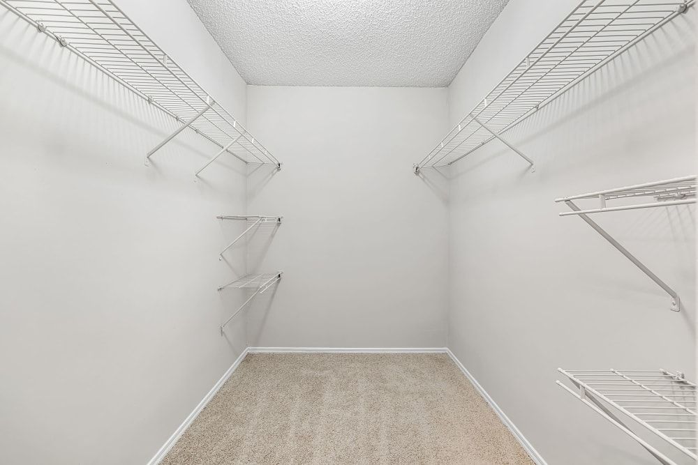 A walk-in closet with lots of shelves and a carpeted floor at Marquis at Perimeter Center in Atlanta, GA.