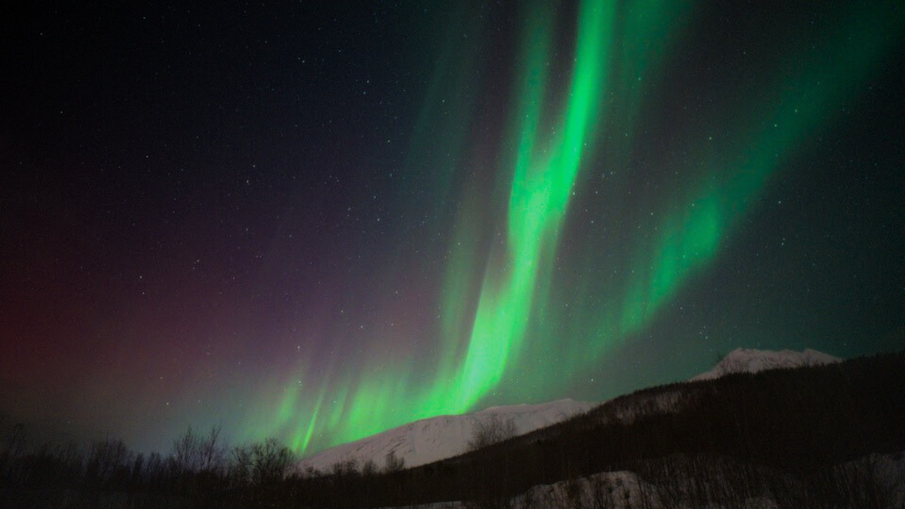 aurora northern light tour in tromso norway