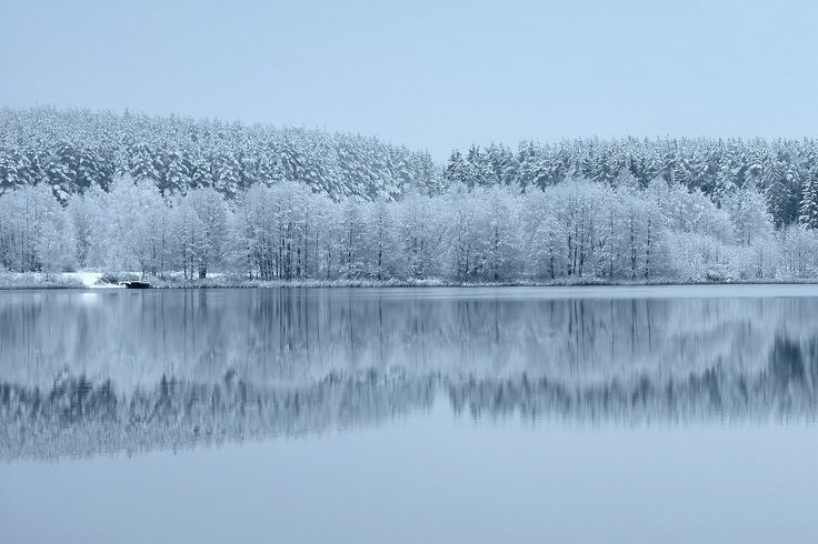 lake and trees covered in snow tromso