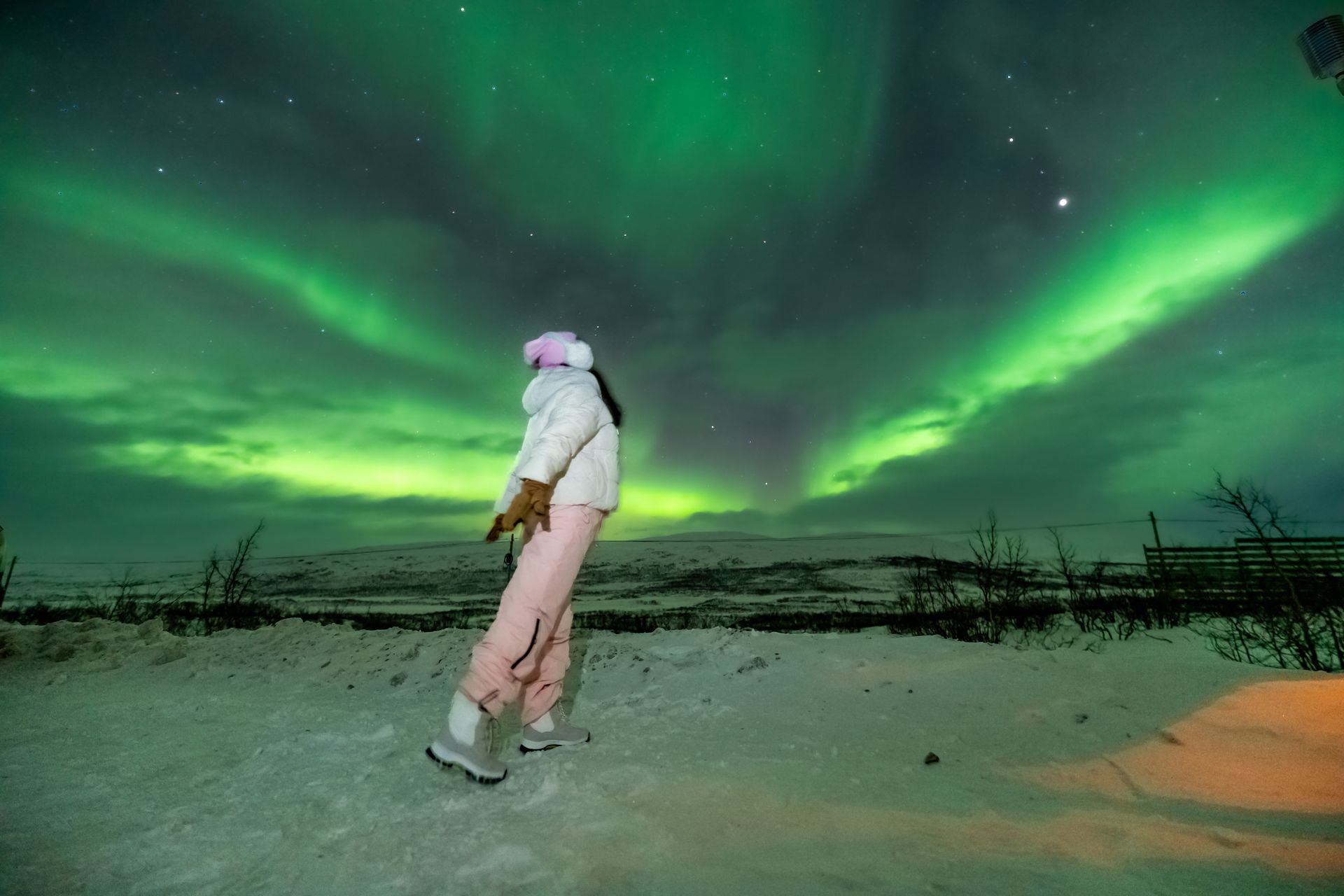 Small group Northern Lights tour in Tromsø
