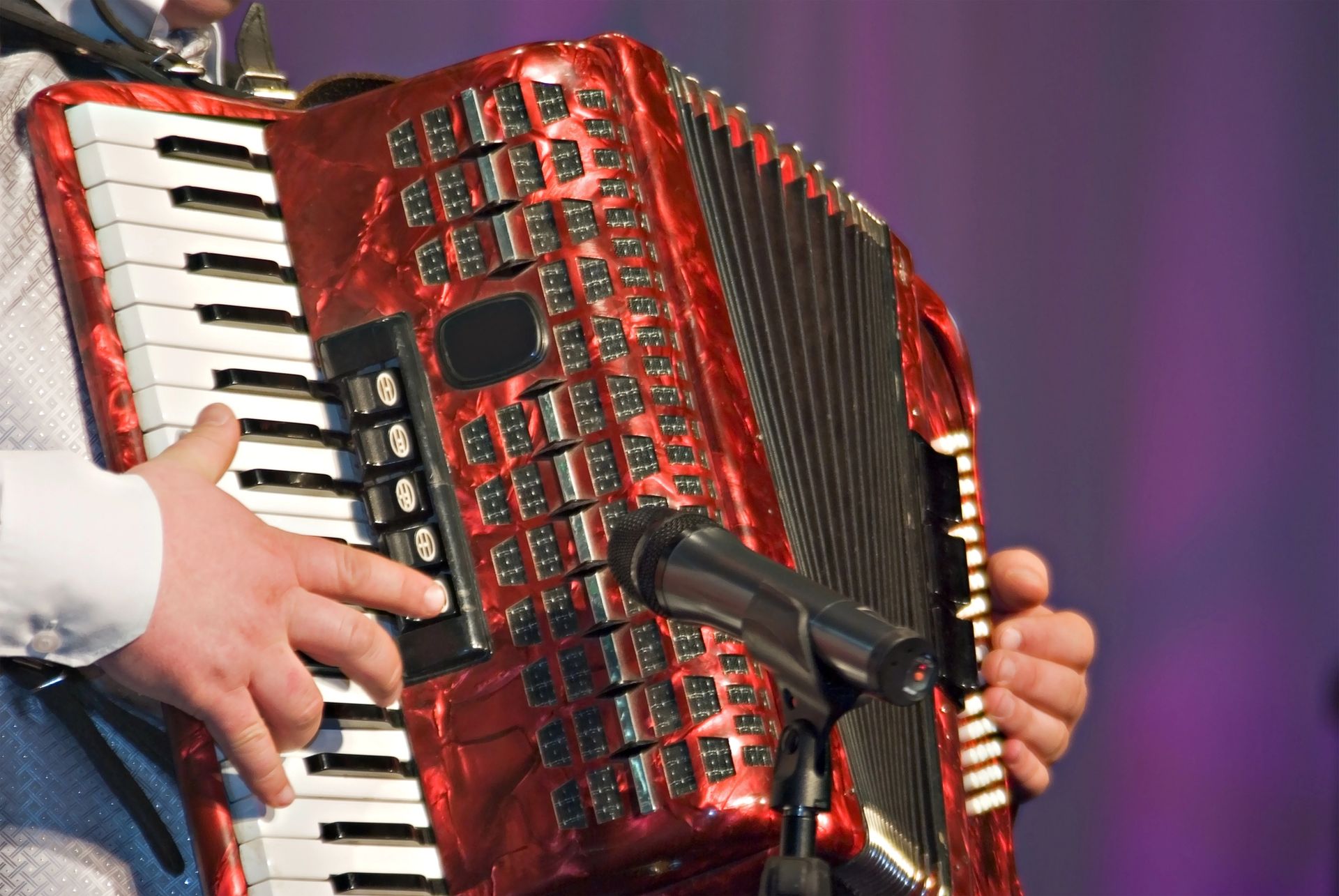 Una persona che suona una fisarmonica rossa con un microfono posizionato di fronte ad essa, su uno sfondo viola sfocato.