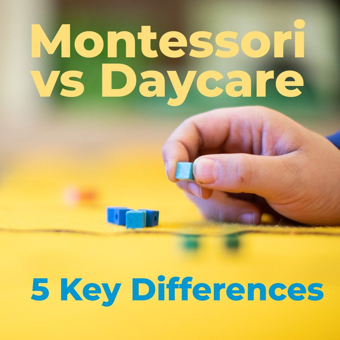 Montessori Vs Daycare 5 Key Differences