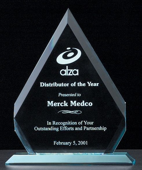 Beveled arrowhead shape acrylic award