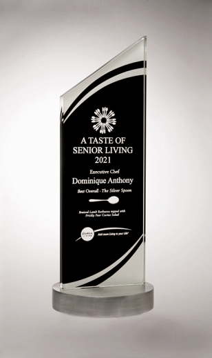 Black glass recognition award with aluminum base.