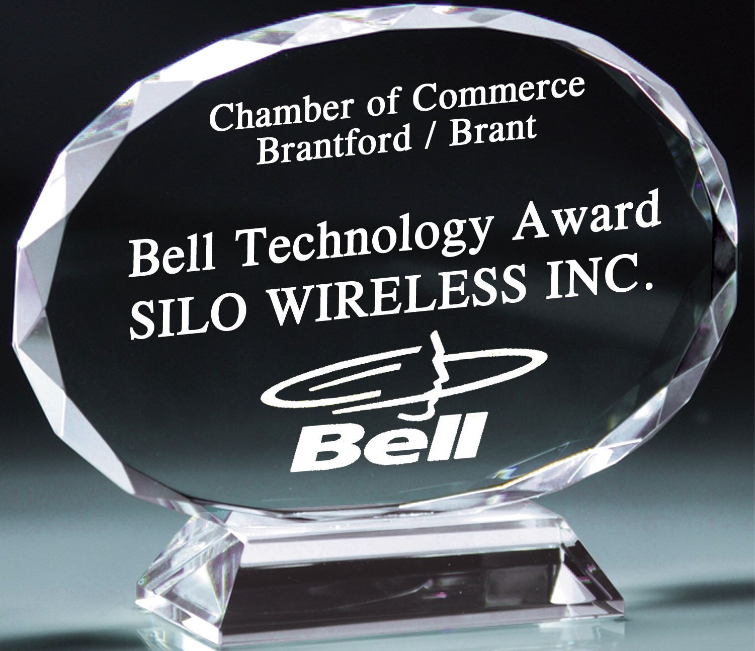 Faceted crystal oval recognition award.