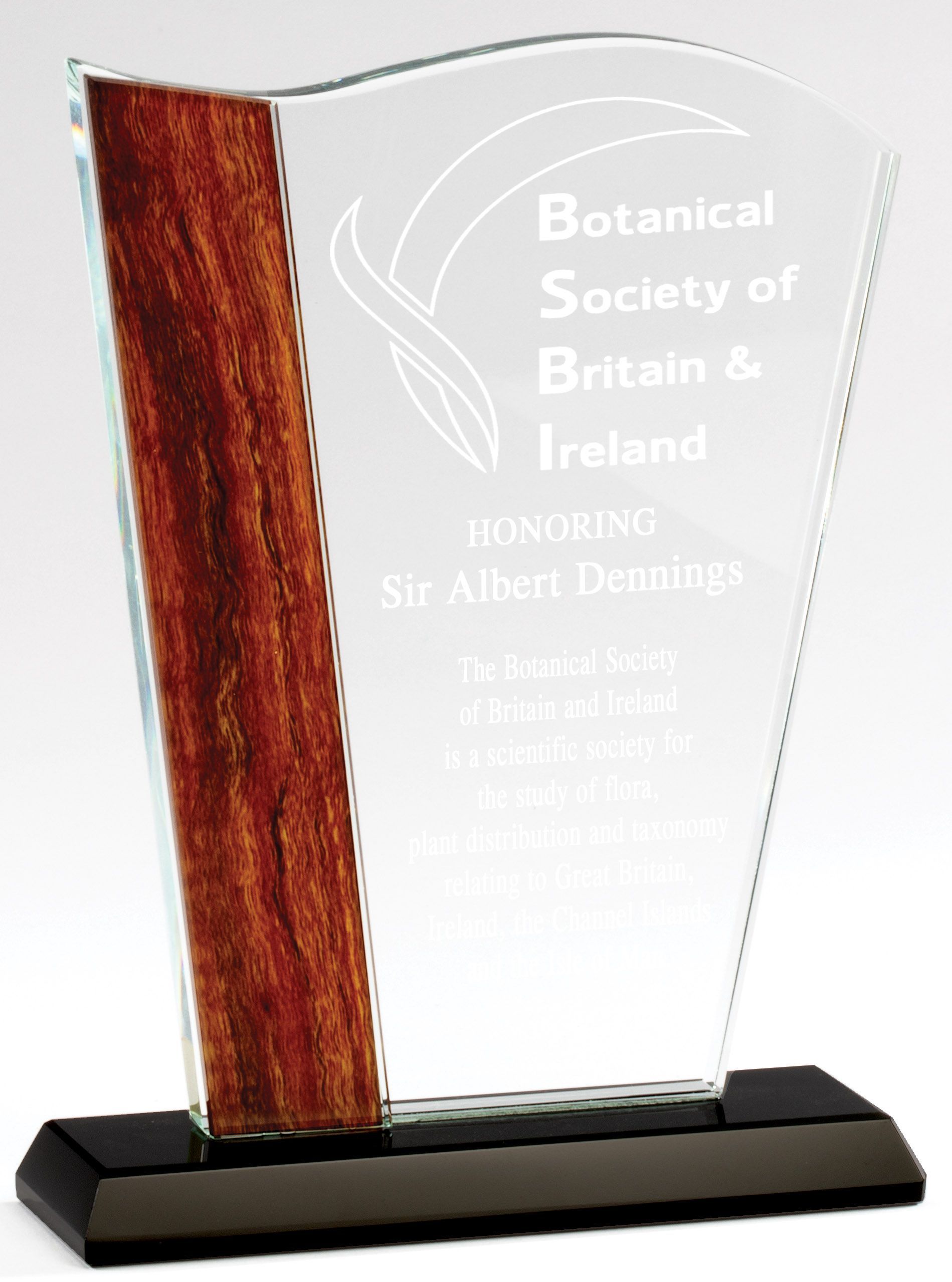 Angled crystal and wood recognition award.