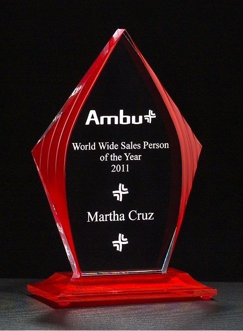 Red accented upright acrylic recognition award.