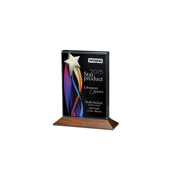 Colorful acrylic recognition award with wooden base.