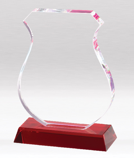 Fire fighter retirement crystal award.