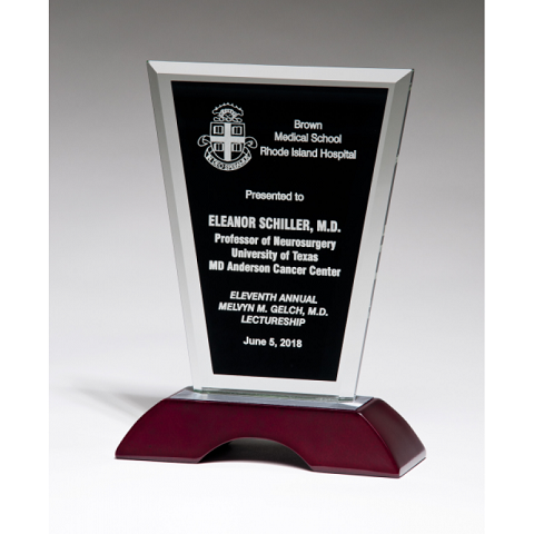 Black background glass recognition award on rosewood base.