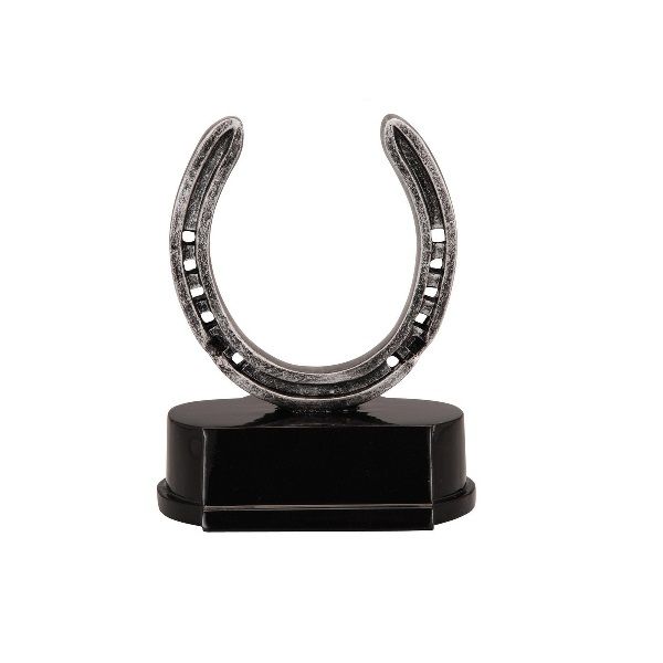 Good luck horseshoe award.