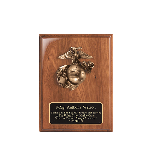 US Marine Corps retirement award plaque.