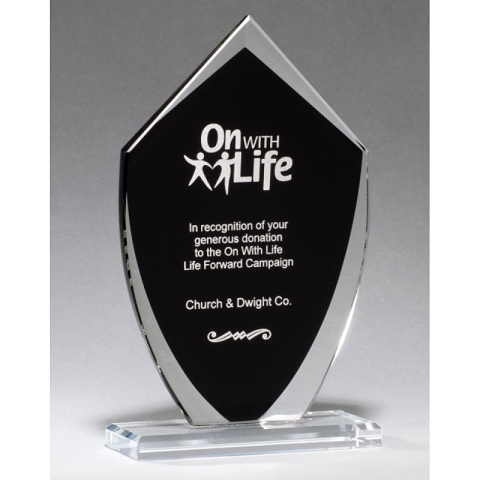 Shield shaped glass recognition award with black background.