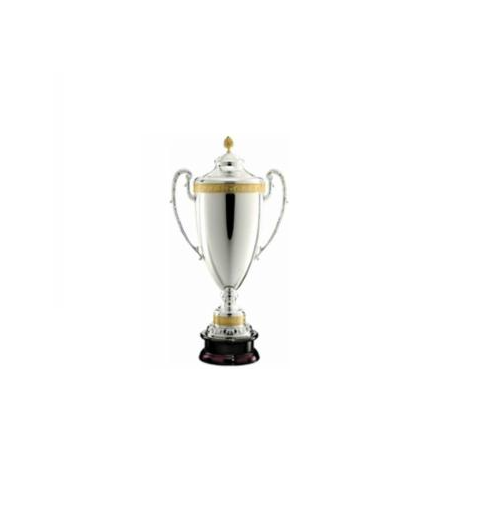 Silver and gold trophy cup.