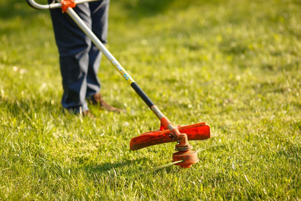 Person using a string trimmer to cut grass in a grassy field.