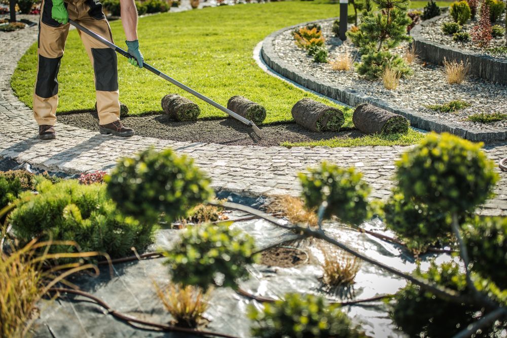 Person laying sod rolls in a garden with plants, using a rake.