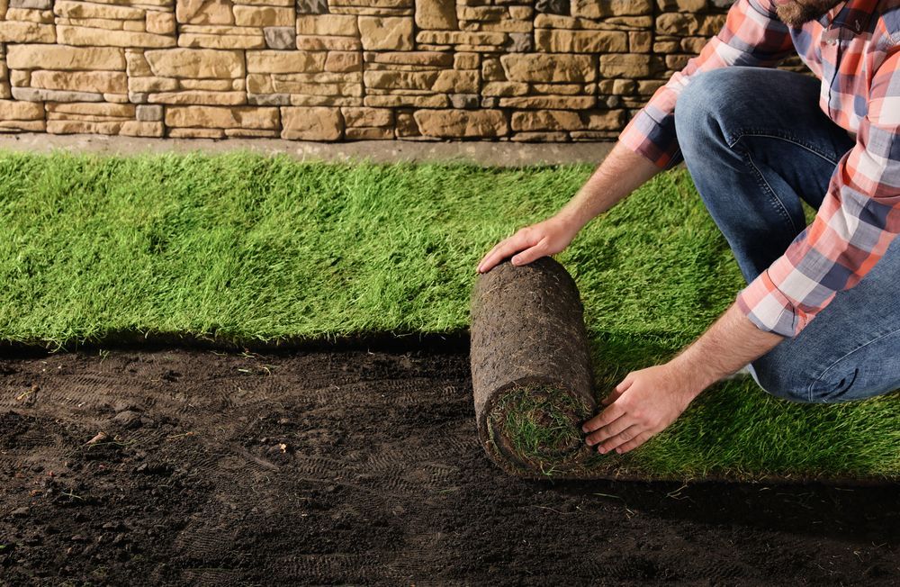 Man kneeling, rolling out a section of new sod on a bed of dark soil, near a stone wall.