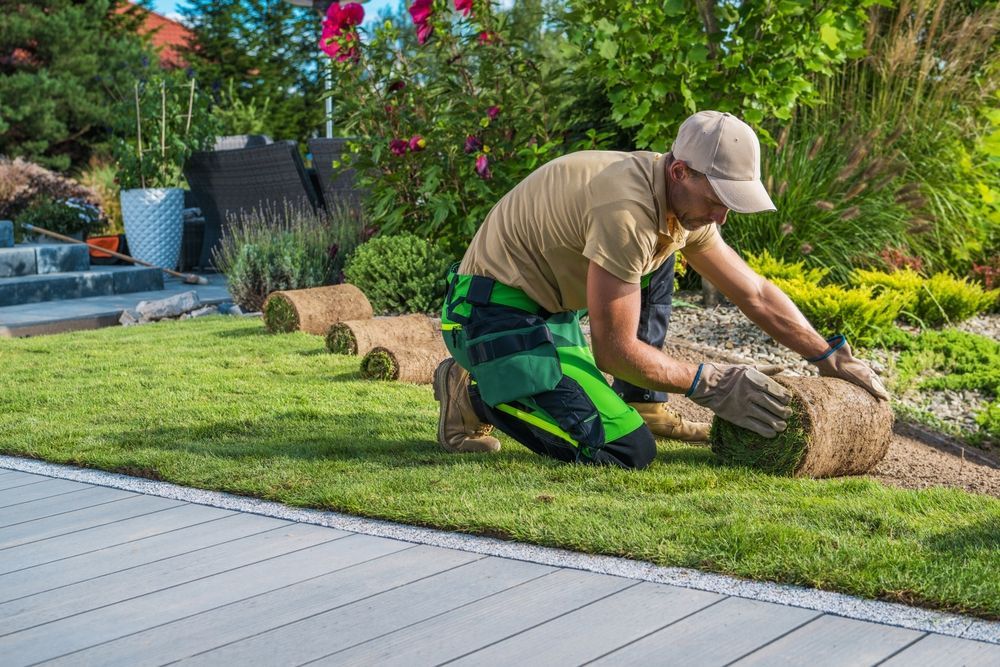 Man installing sod in a lush green garden, wearing work gloves, kneeling by rolls of grass.