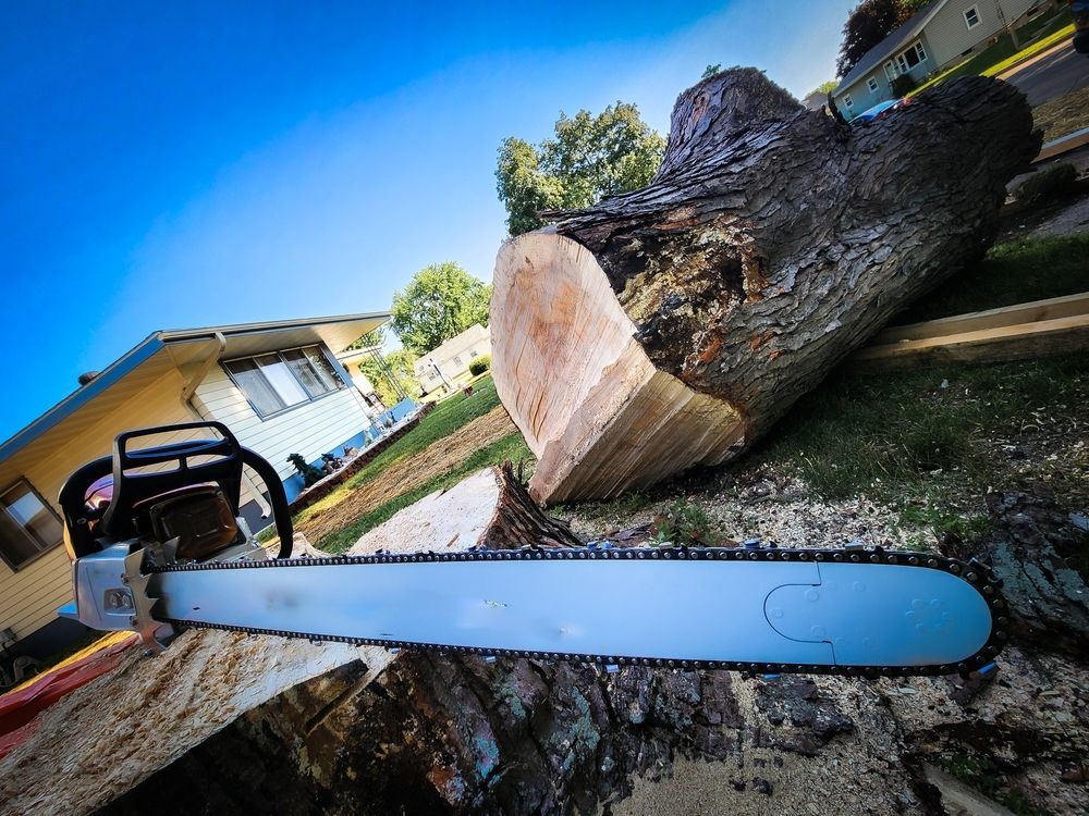 Chainsaw cutting a large log section outdoors, with house and yard in background.