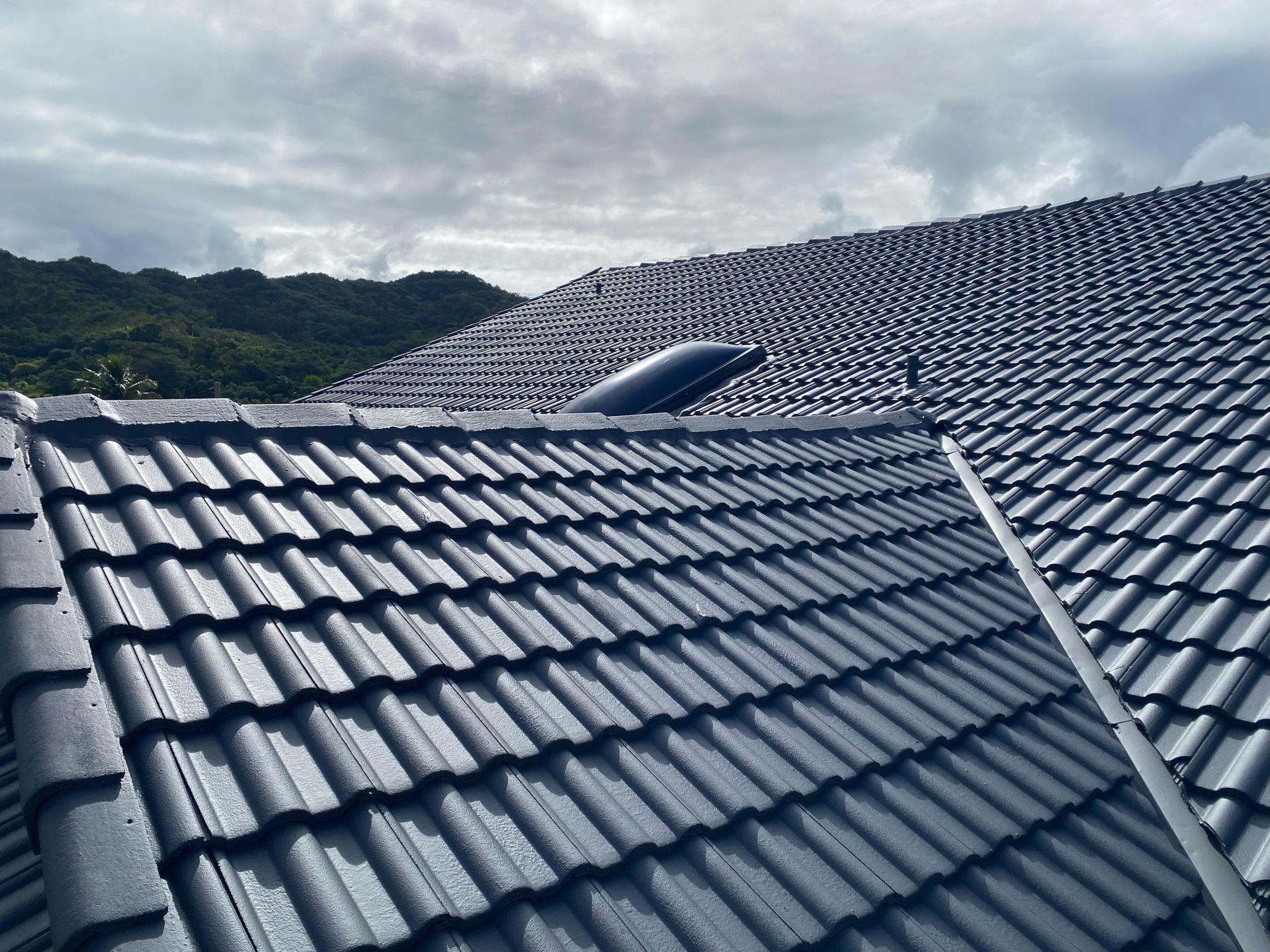 Dark gray tiled roof with mountains in background.