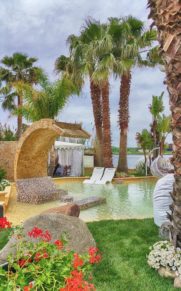 Piscina in giardino con palme