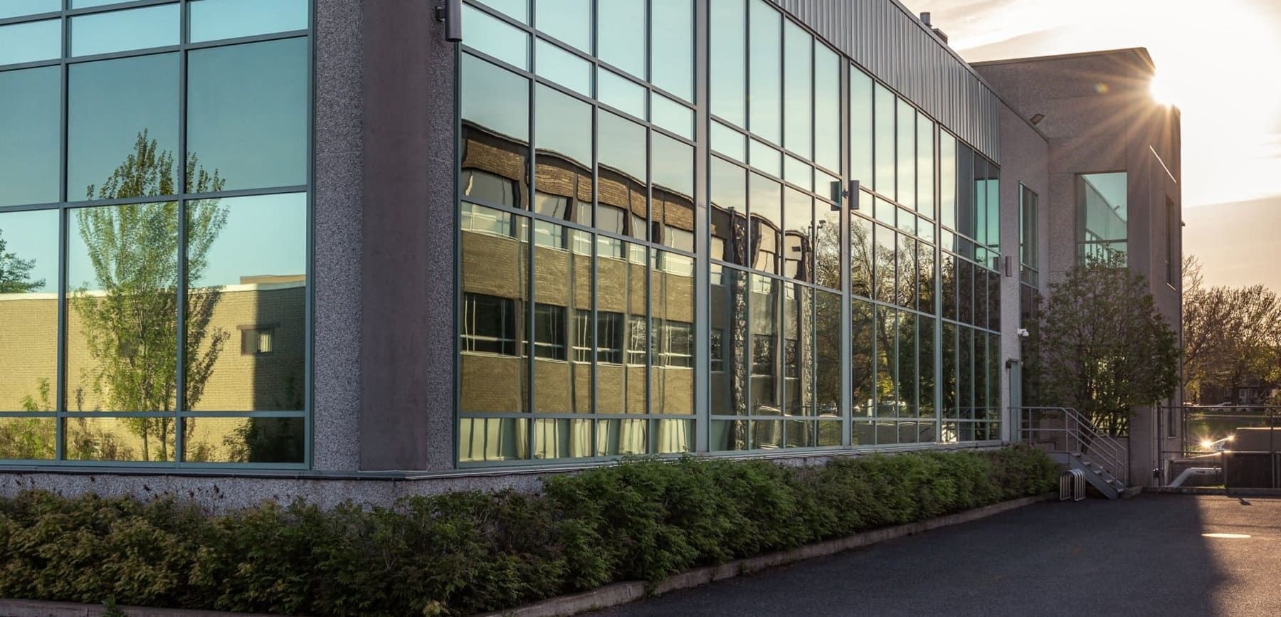 commercial window tinting issues
