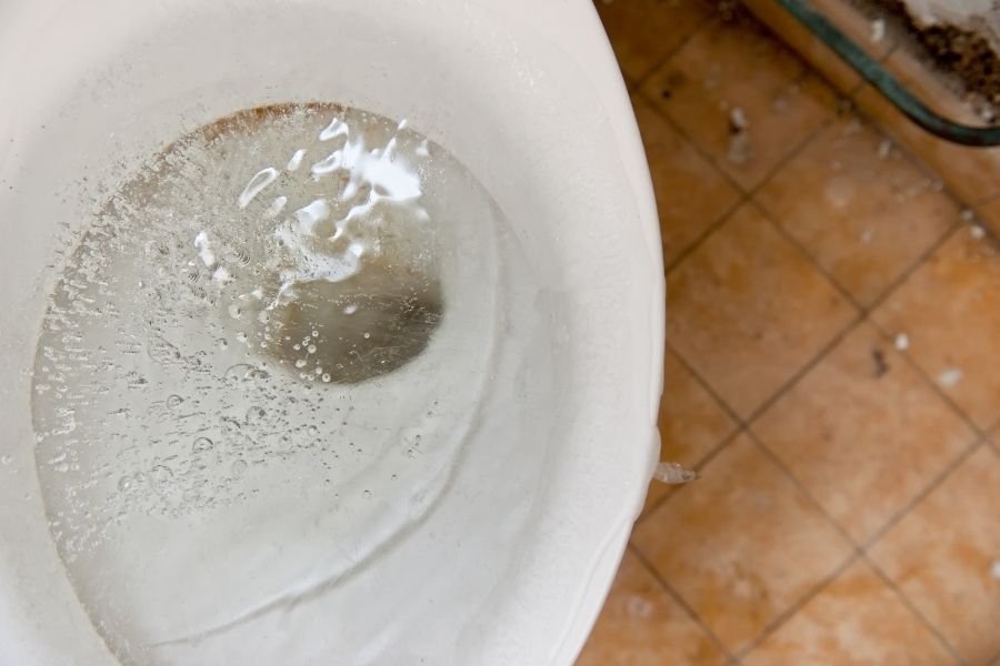 Close-up of a toilet bowl with water bubbling up, a warning sign of a main sewer line backup