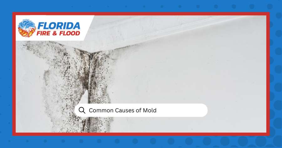 common causes of mold