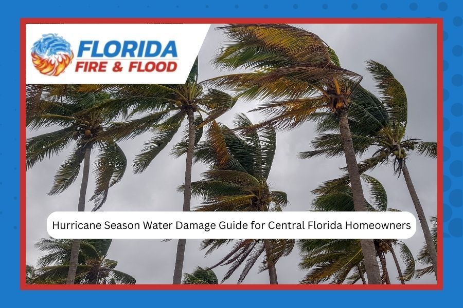 Hurricane prep guide, palm trees bending in wind, Florida Fire & Flood logo.