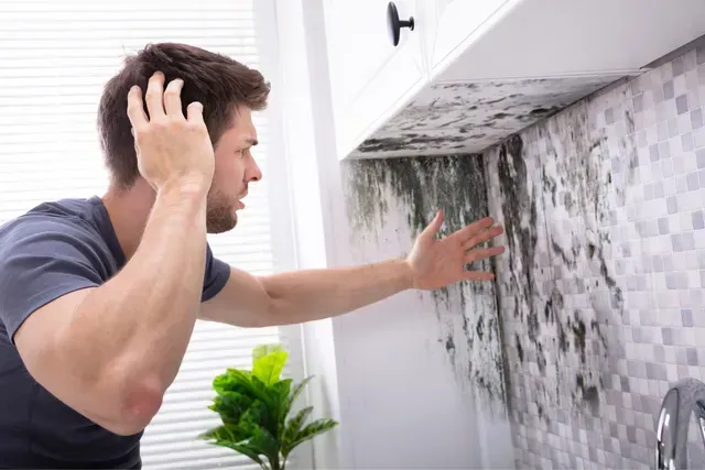 Man inspects mold on kitchen wall, requiring FFF's Mold Remediation expert assistance in Lake County, FL