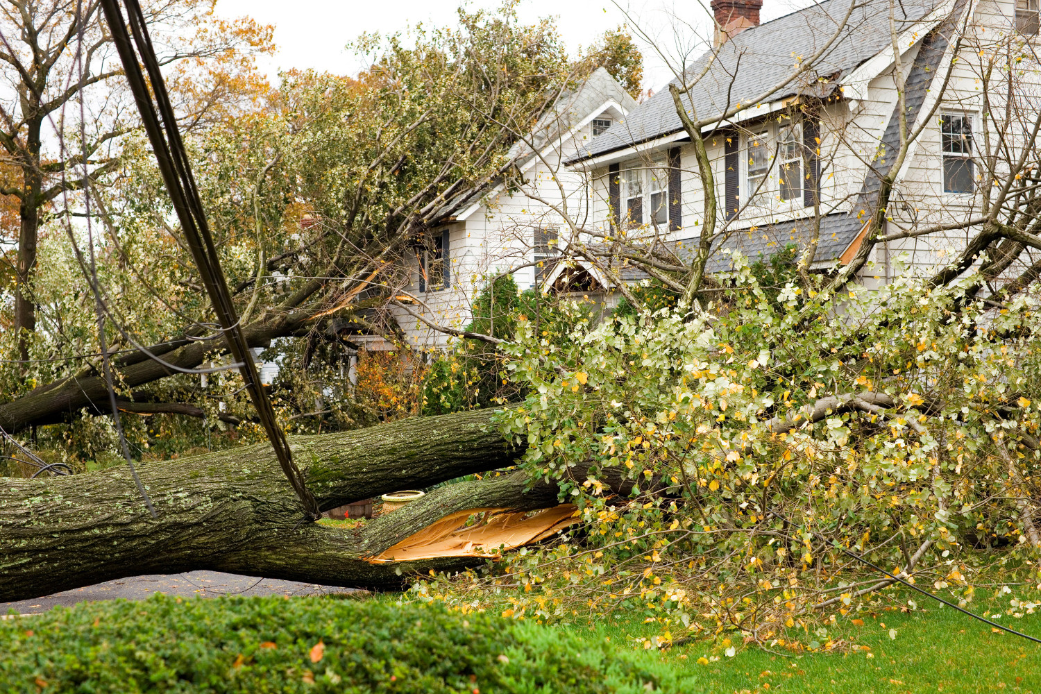 FFF's team restores storm-damaged property, removing fallen trees and repairing structural damage in Lady Lake, FL