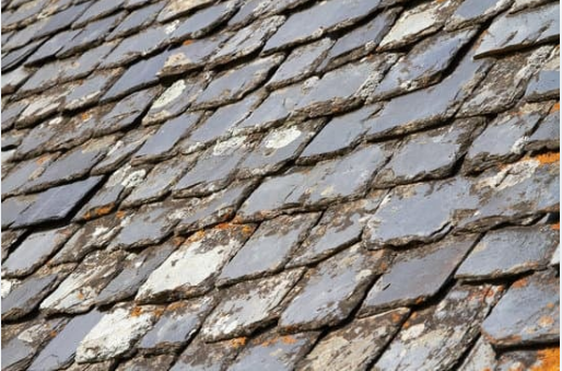 shingle roof