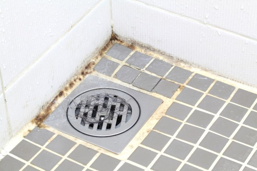 Bathroom drain with hair clog and mildew