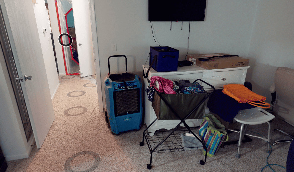 water-damaged carpet restoration