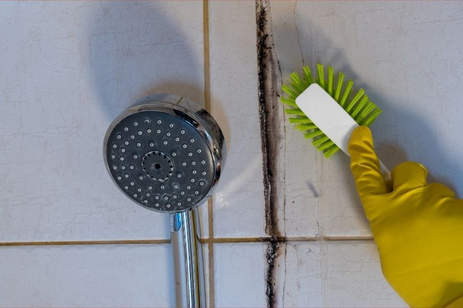 Cleaning mold from shower tile grout