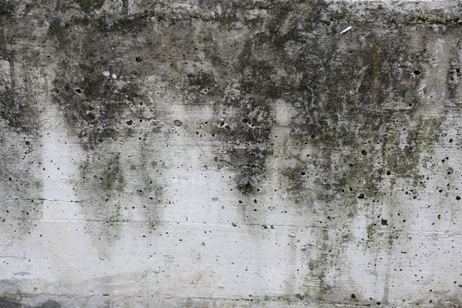 Damp wall showing signs of moisture and mildew
