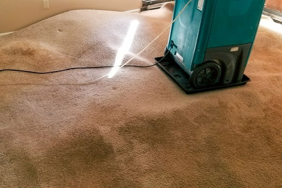 Professional restoration crew assessing property damage in a residential home