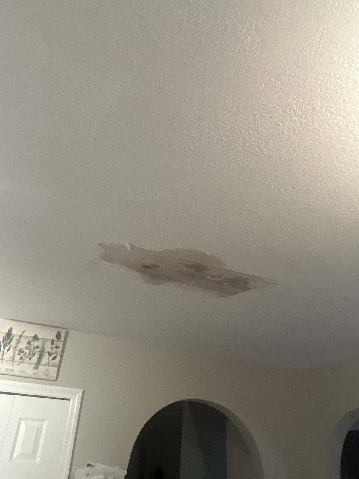 Sadie McKenna: Overcoming The Leak's Damage
