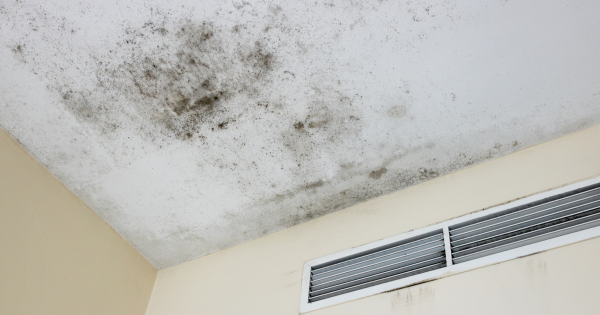 Ealry Signs of Black Mold In Ceiling - Florida Fire & Flood