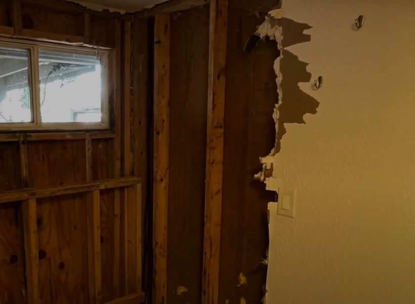 flood damage -affected drywall during mitigation