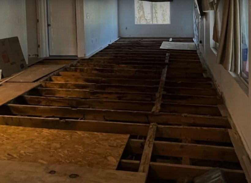 flood damage - affected flooring during mitigation