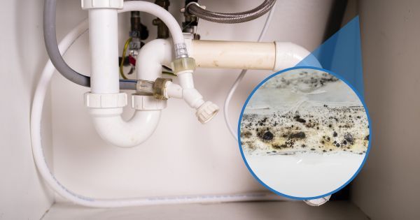 kitchen sink under sink inspection flashlight water stains leaks