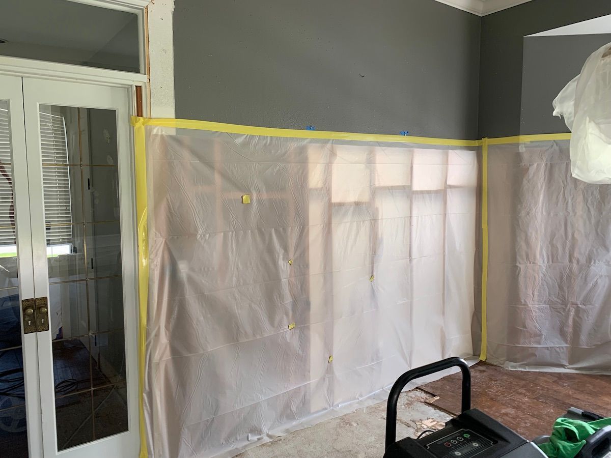 mold removal