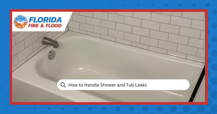Shower and Tub Leaks