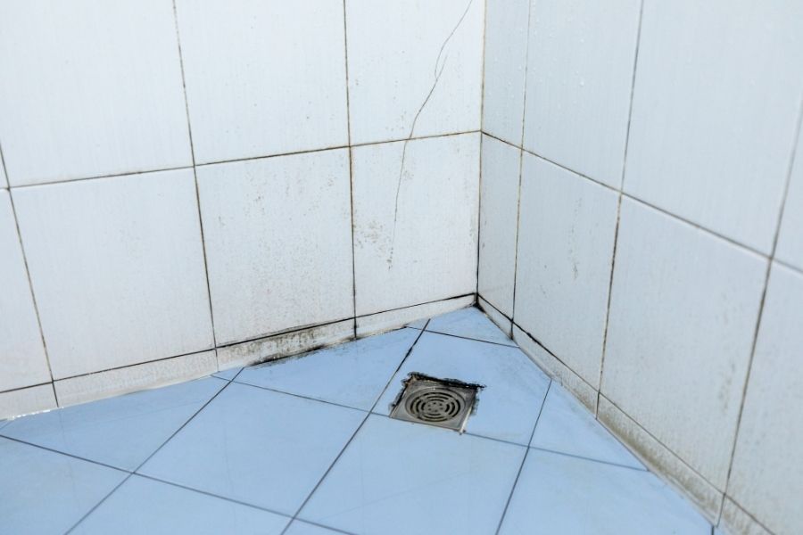 Mold growth around a shower floor drain
